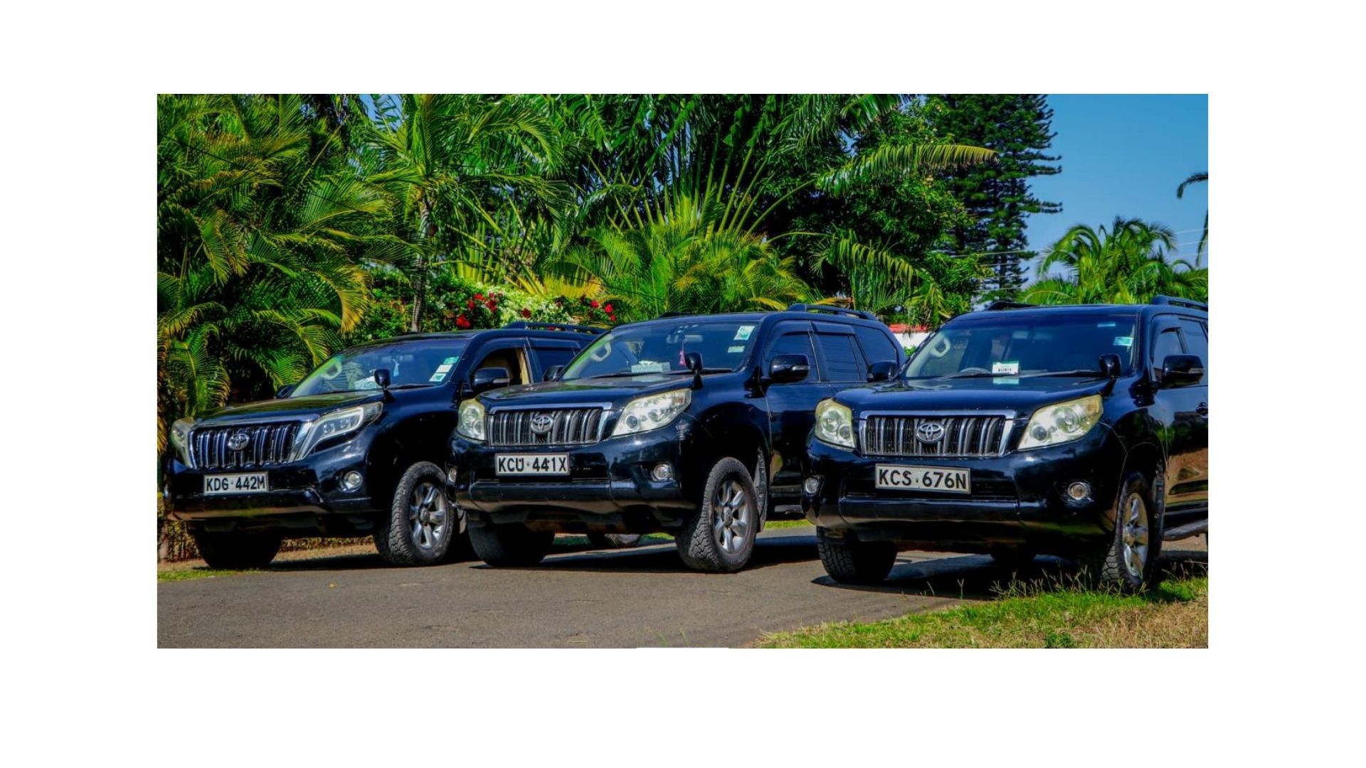 Toyota Prado V8