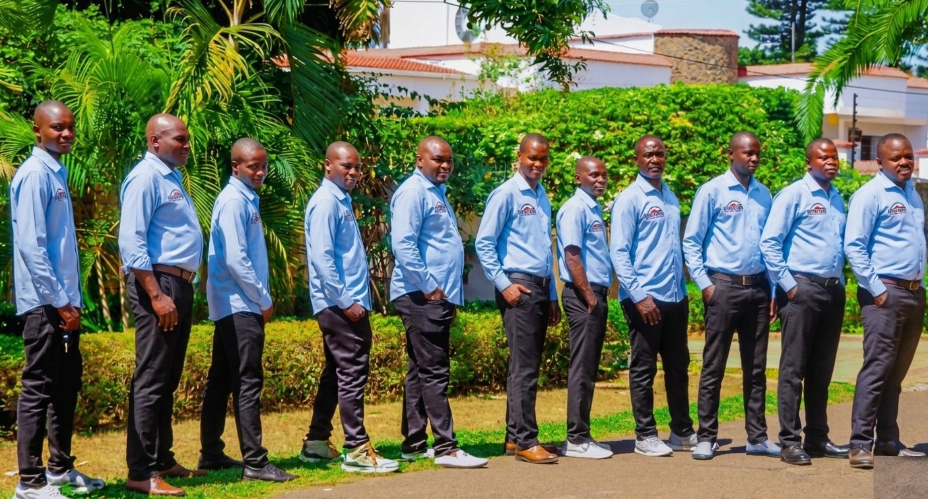 Our Team